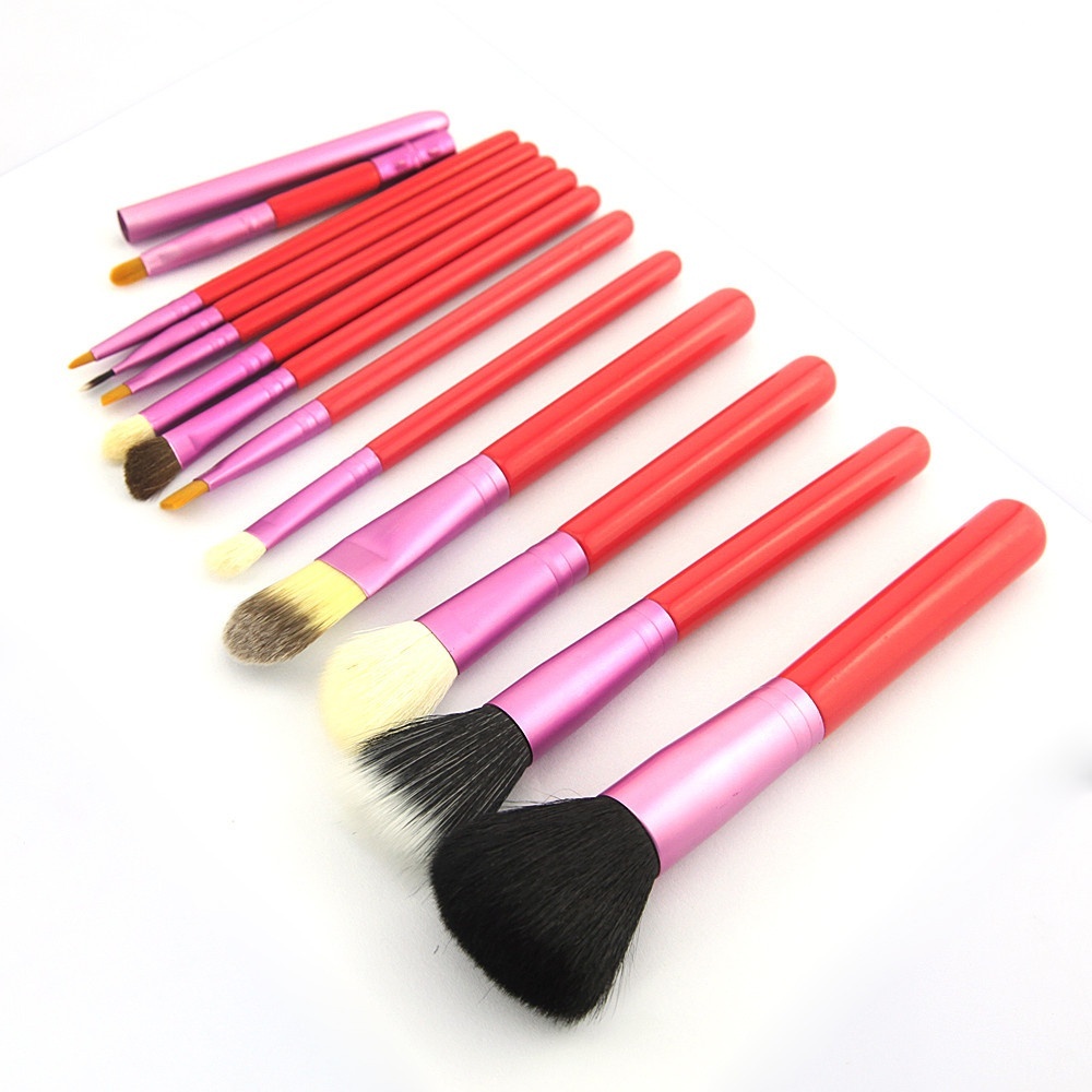 Makeup Brushes 12pcs Pink Cosmetic Set Eyeshadow Wood Brush Blusher